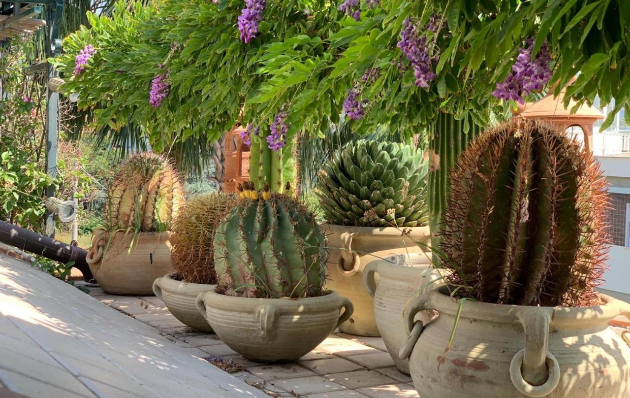 شقة Terrazza Pavone آتْشّي كاستيلّو المظهر الخارجي الصورة