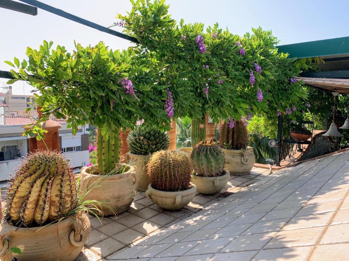 شقة Terrazza Pavone آتْشّي كاستيلّو المظهر الخارجي الصورة
